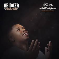 Abidoza – Till We Meet Again Mp3 Download
