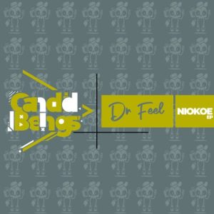 Dr Feel – Niokoe EP Download Zip