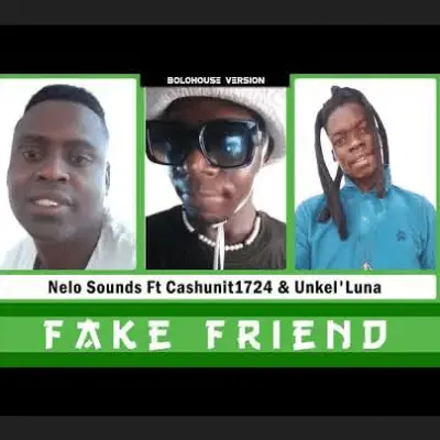 Nelo Sounds - Fake Friend Mp3 Download