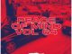 DJ Ace Peace of Mind Vol 64 Mp3 Download