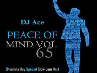 DJ Ace – Peace of Mind Vol 65 Mp3 Download