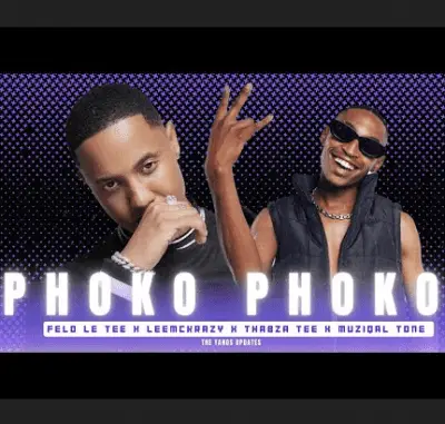 Felo Le Tee - Phoko Phoko! Mp3 Download