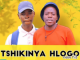 Nkgetheng The DJ - Tshikinya Hlogo Mp3 Download