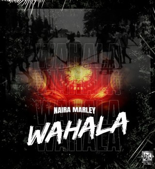 Naira Marley – Wahala Mp3 | Free Audio Download